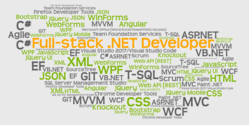 Full-stack .Net Developer